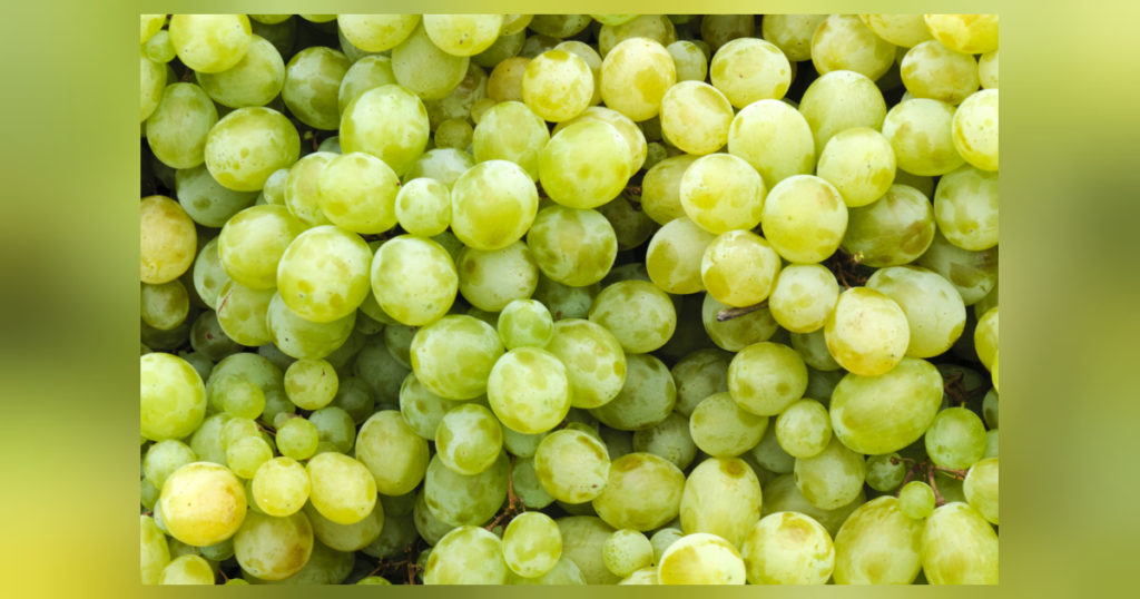 Die leckeren Weintrauben