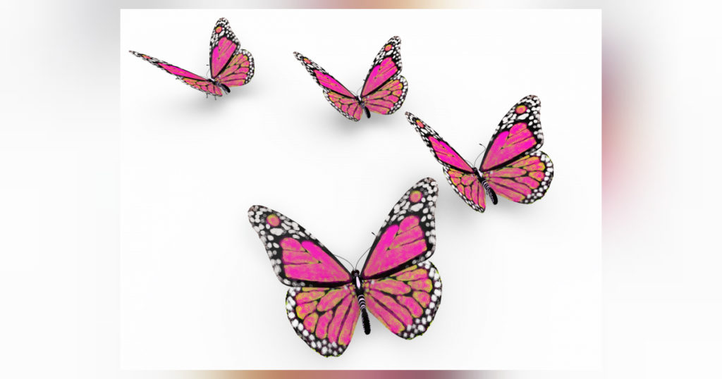 Die faszinierende Welt der wunderschönen Schmetterlinge