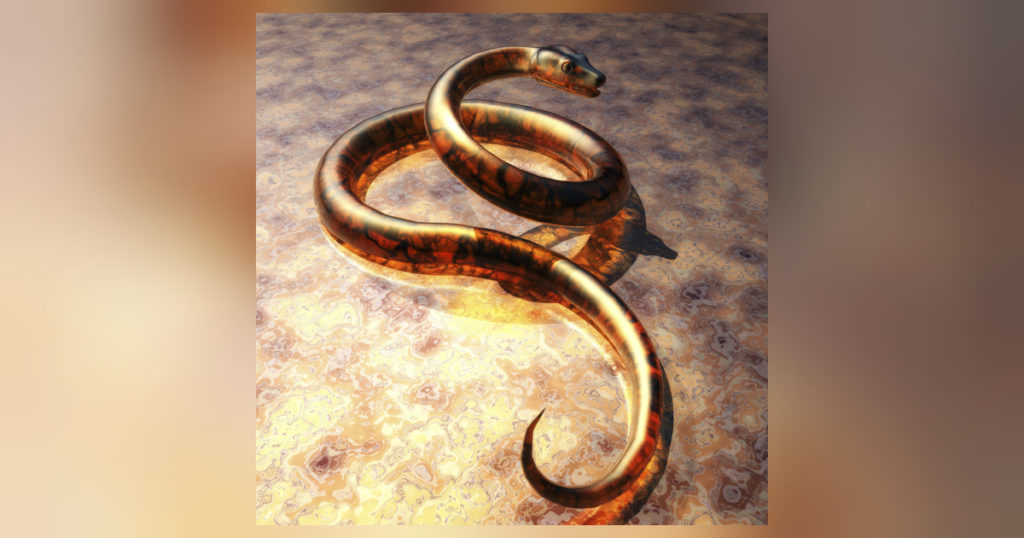 Die interessanten Schlangen und ihre Lebensweise