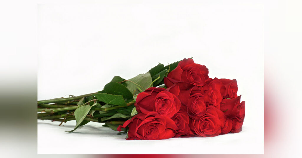 Gedicht über die schönen Rosen und ihr Zeichen der Liebe